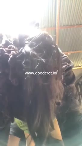 Ceweknya menahan sakit dientot berdiri